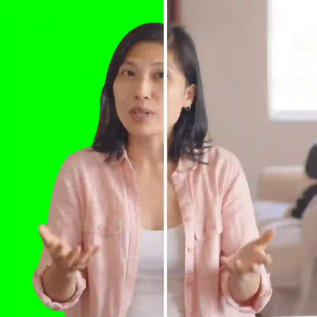 Multiple use cases for video background removal